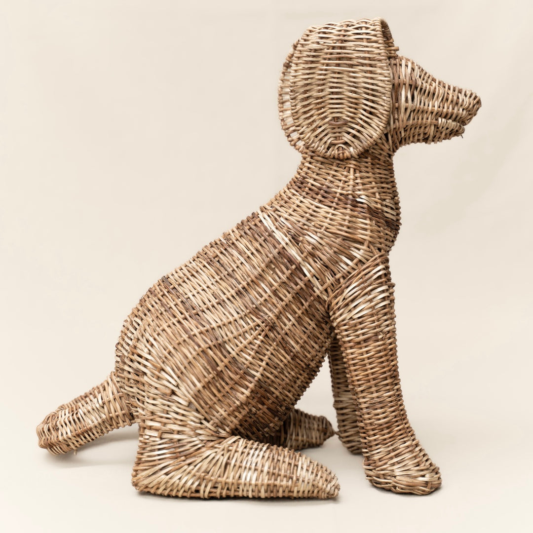 Perros en Rattan